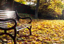 New bereavement support service launches for over 70s in Dyfed