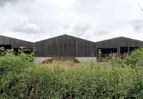 New heifer building planned for Pembrokeshire