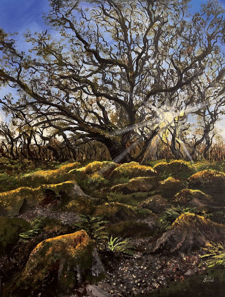 Wales’ Ancient Woodland by Jill Jones