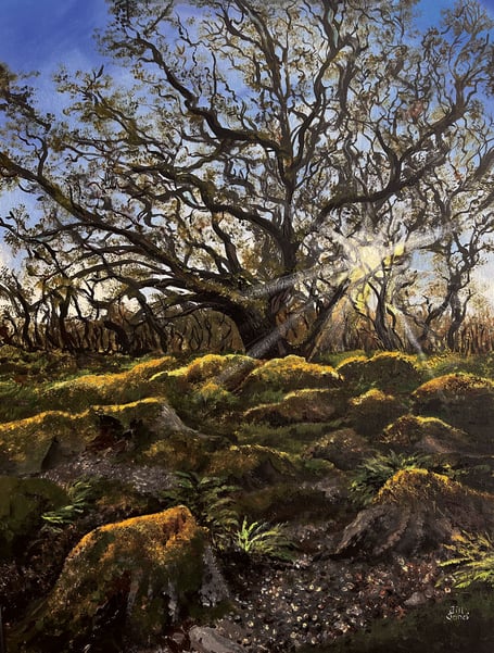 Wales’ Ancient Woodland by Jill Jones