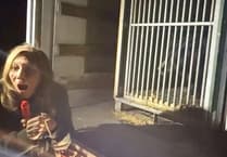 WATCH: Critically endangered moon bears find new home at Manor Wildlife Park