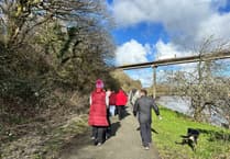 Accessible walk at Neyland Marina