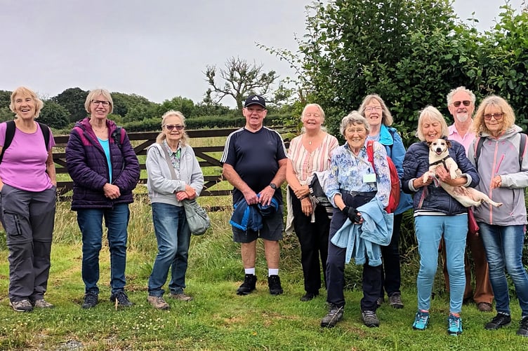 Steps2Health walkers pictured during their Ivy Chimney Lane walk at Kilgetty, June 28