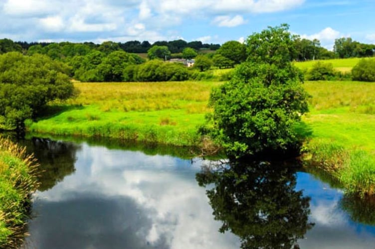 A new website has been launched to showcase how a collection of organisations in West Wales are working together to restore the health of its rivers – and how people across the region can get involved.