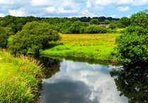 Protect West Wales rivers - learn how