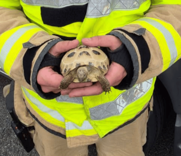 Sheldon’s owner was very appreciative to the crew for their quick work in saving Sheldon and extinguishing the fire. 