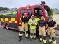 Firefighters rescue Sheldon the Tortoise in Pembroke