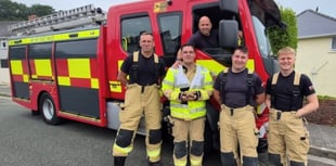 Firefighters rescue Sheldon the Tortoise in Pembroke