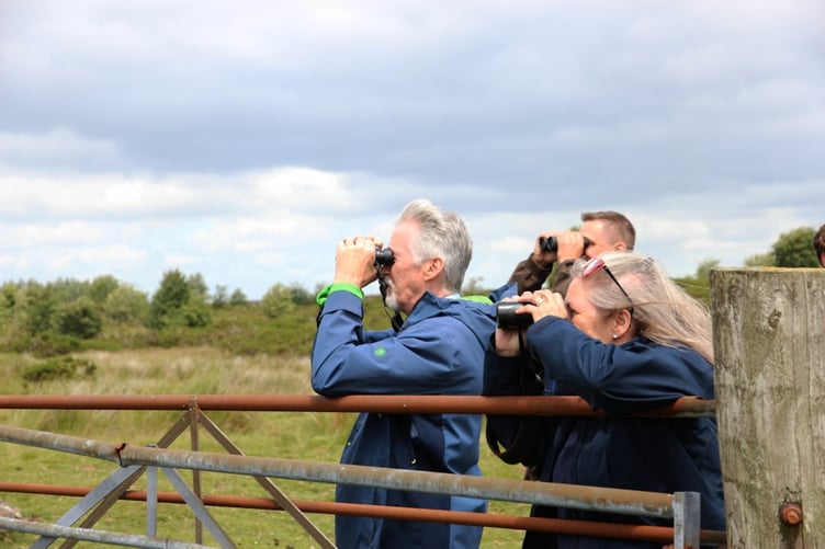 On a visit to Bannau Brycheiniog National Park, the Deputy First Minister learned more about the work being carried out in one of Wales' Important Curlew Areas through Curlew Connections to tackle the key issues driving the low breeding success of curlew in Wales.