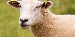 Pembrokeshire farm's relocation bid denied