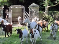 Saundersfoot seeks volunteers for 'graveyard shift'