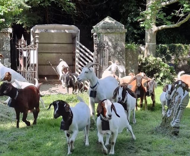 Saundersfoot seeks volunteers for 'graveyard shift'