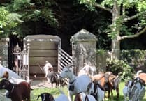 Saundersfoot seeks volunteers for 'graveyard shift'