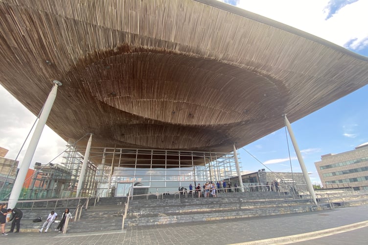 Senedd