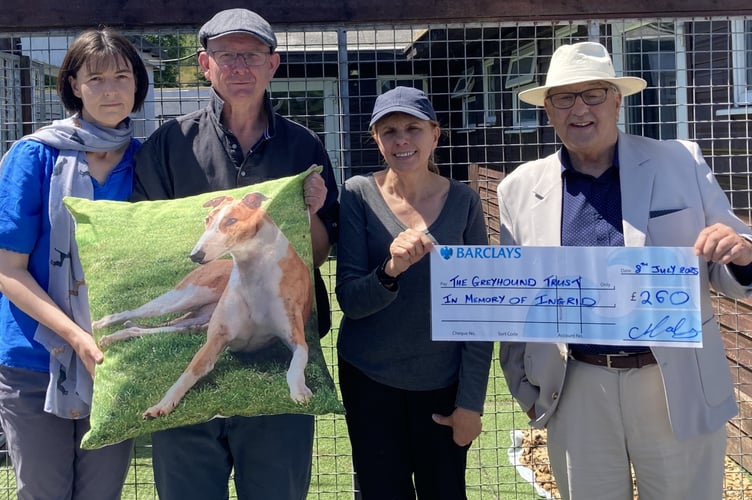 Ingrid greyhound donation
