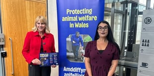 ‘Securing A Better Future For Animal Welfare in Wales’