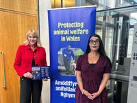 ‘Securing A Better Future For Animal Welfare in Wales’
