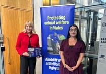 ‘Securing A Better Future For Animal Welfare in Wales’