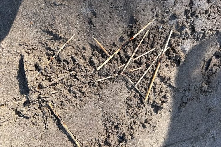 Discovering discarded BBQs this week on the beach in Saundersfoot, the Harbour operators shared on social media: “BBQs are not allowed on the back beach and this is the reason why.