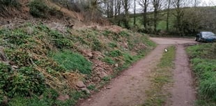 Pembrokeshire lodge plans rejected amid bat habitat concerns