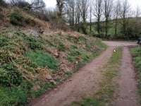 Pembrokeshire lodge plans rejected amid bat habitat concerns
