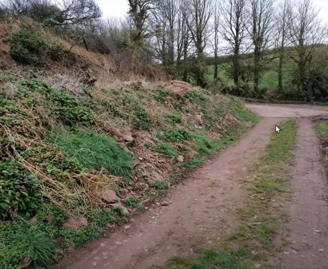 Pembrokeshire lodge plans rejected amid bat habitat concerns