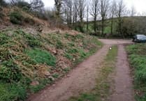 Pembrokeshire lodge plans rejected amid bat habitat concerns