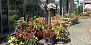 Sensory Garden wins Green Flag Award