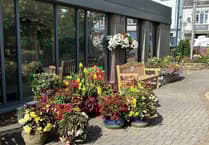 Saundersfoot’s Sensory Garden wins Green Flag Community Award