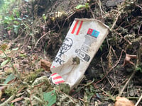 Littering fines of nearly £50k issued across Wales