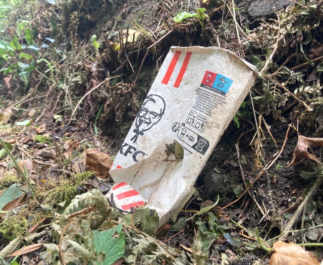 Saundersfoot being plagued by takeaway litter