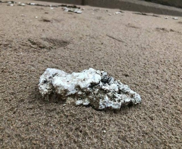 Palm oil warning for Pembrokeshire dog owners