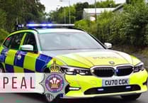 Fatal collision on A40 in Carmarthenshire: police appeal for witnesses