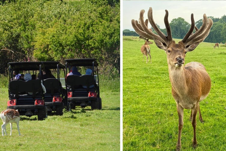 Great Wedlock Farm and Deer Park, near Tenby