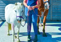 Tributes paid to former Ysgol Greenhill student Sally Allen