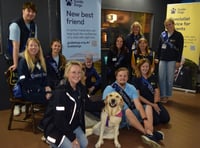Join Guide Dogs' family day at Folly Farm