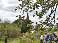 Carmarthenshire garden blooms with £1.2m grant
