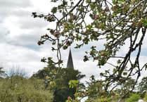Historic Carmarthenshire garden to bloom again with £1.2m grant