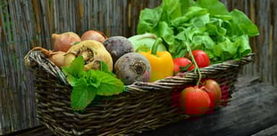 Have your say on Carmarthenshire’s Food Strategy Consultation