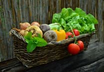 Have your say on Carmarthenshire’s Food Strategy Consultation