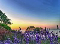 SLIDESHOW: Picture This - photos of Tenby, 2025