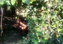 Discoveries await at Pembroke cave dig