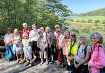 Steps2Health walkers get active in July