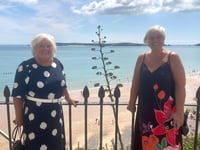 Tenby in Bloom 2025 winners announced