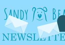 Help Sandy Bear support bereaved kids