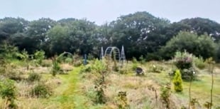 Garden shed approved for Pembrokeshire wildlife field