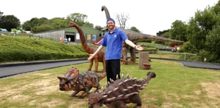 Dancing dinosaurs delight at Tenby Dinosaur Park