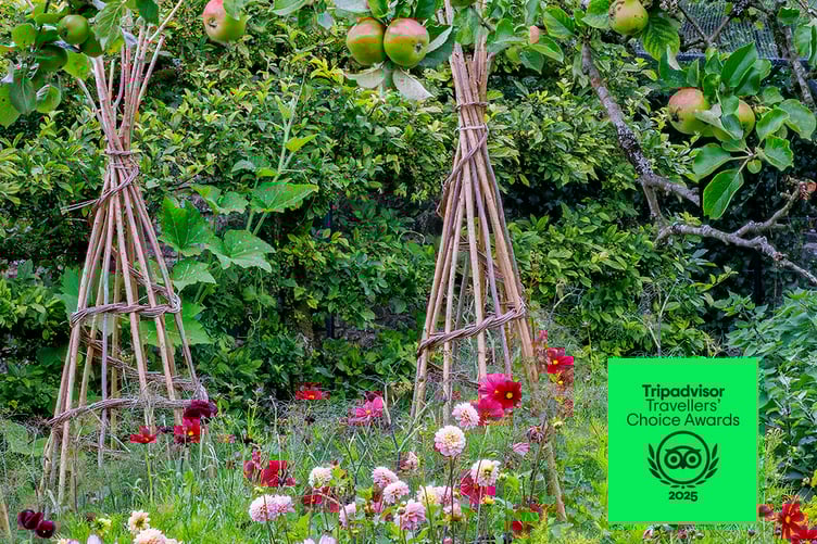 Aberglasney Kitchen Garden, July 2025