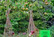 Aberglasney claims Tripadvisor Award for fourth year in a row!