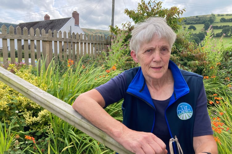 Mari Mitchell, of Brechfa, Carmarthenshire (pic by Richard Youle and free for use for wire partners) 